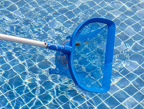 Pool Maintenance